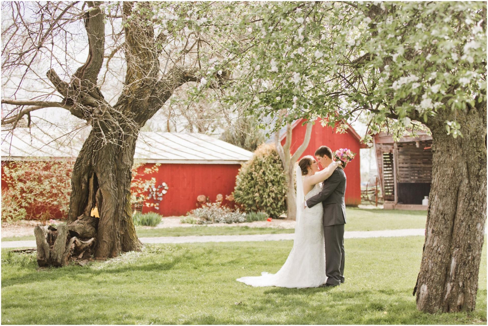 Mulberry Lane Farm 5