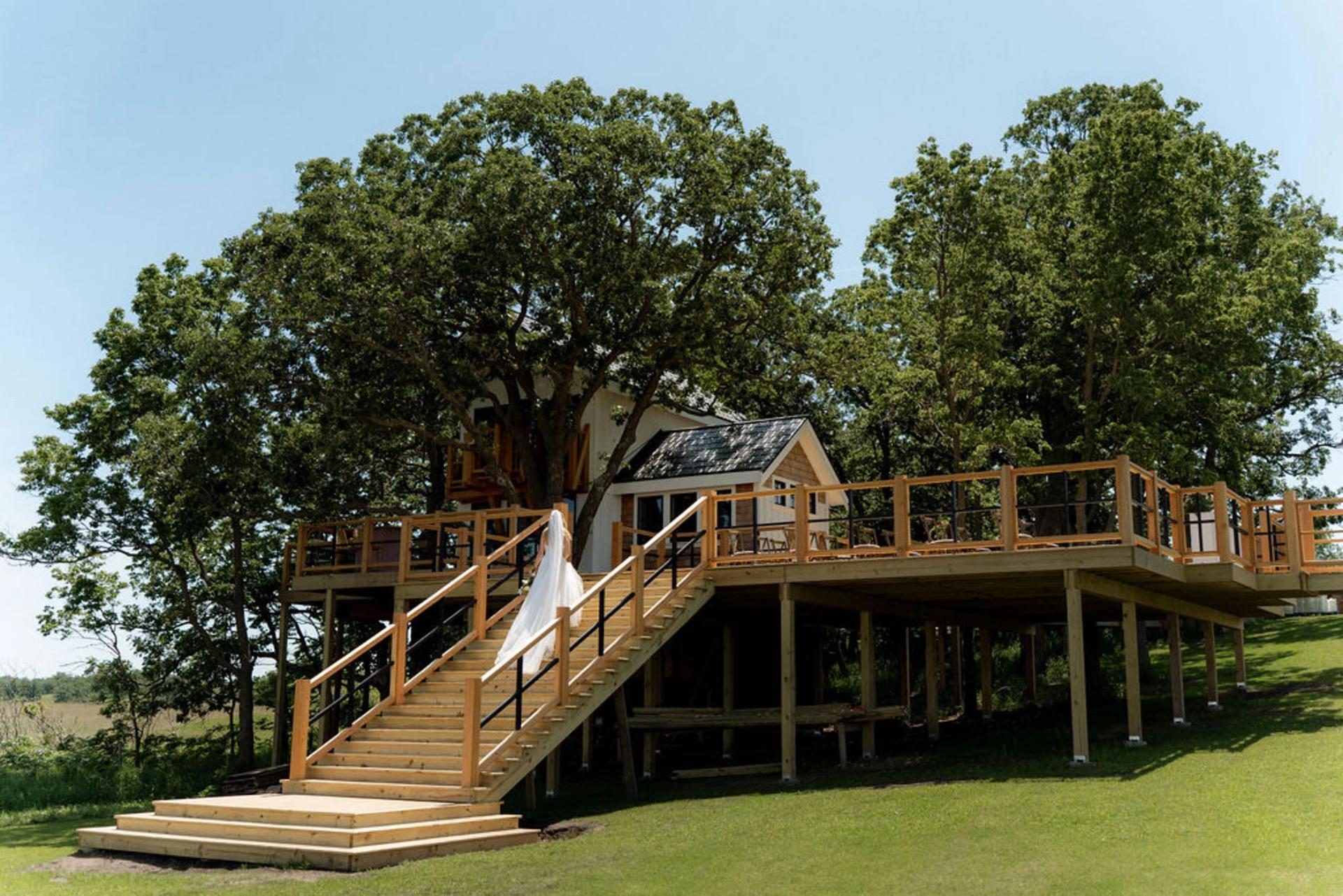 TreeHouse Heaven 1