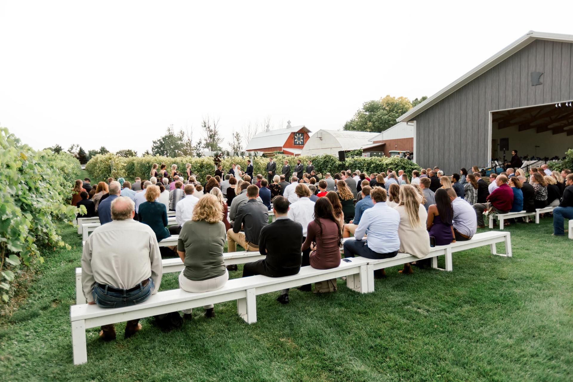 Next Chapter Winery 5