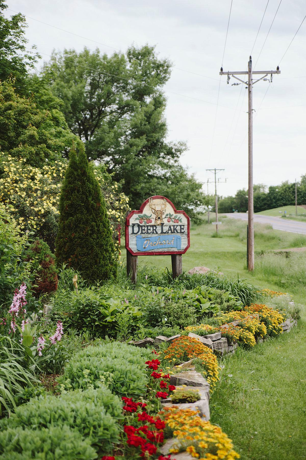 Deer Lake Orchard 1