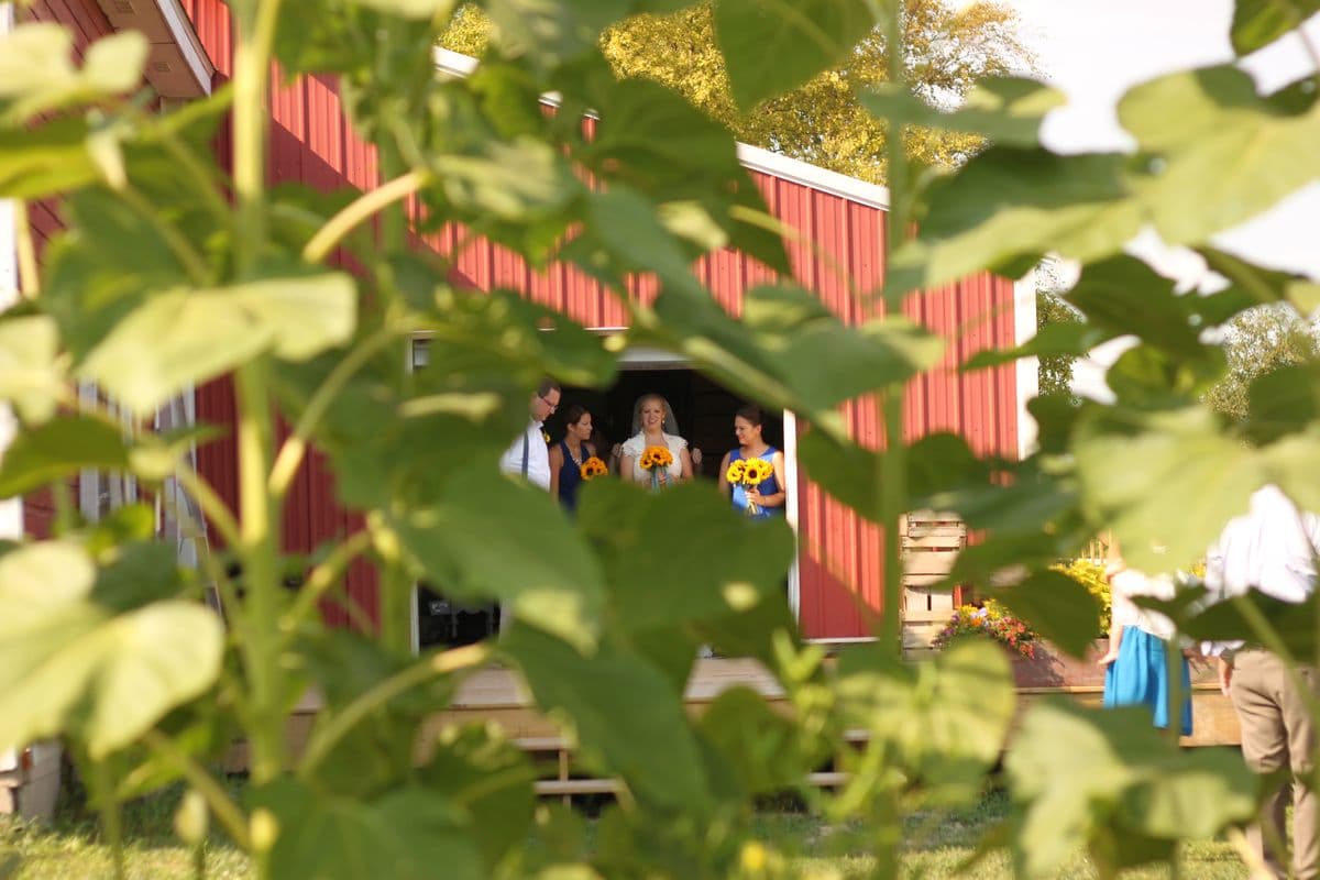 Deer Lake Orchard 5