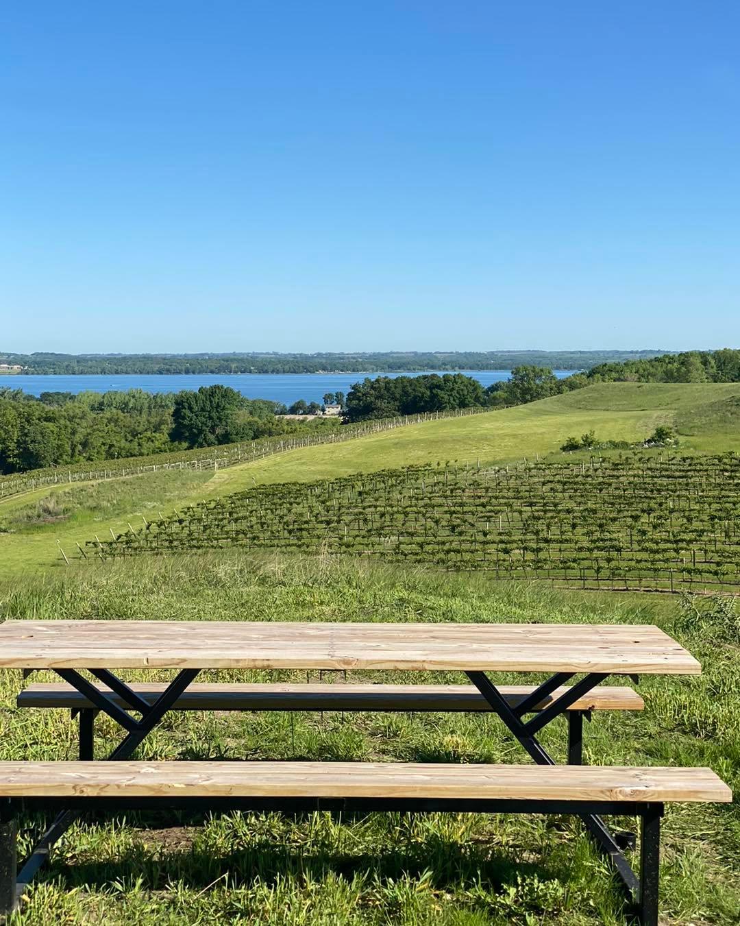 Rolling Forks Vineyards 5